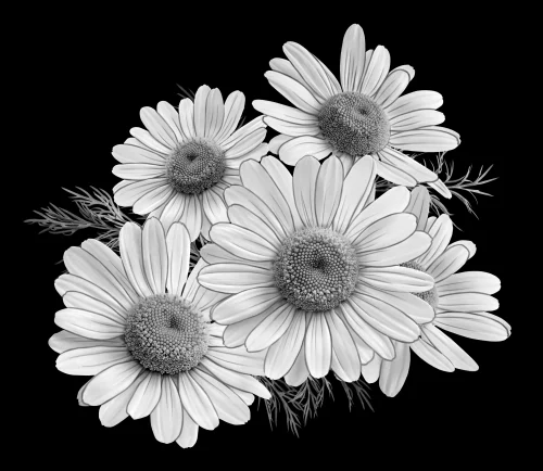 Цветочная композиция 017 (ромашки) 