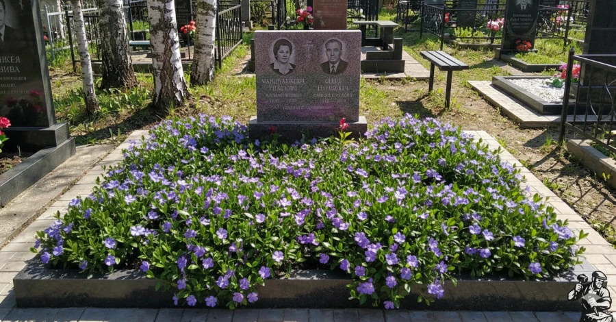 Gemini_Generated_Image_l4ogj0l4ogj0l4og